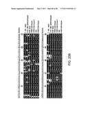 NOVEL KINASES AND USES THEREOF diagram and image