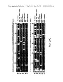 NOVEL KINASES AND USES THEREOF diagram and image