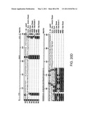 NOVEL KINASES AND USES THEREOF diagram and image