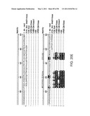 NOVEL KINASES AND USES THEREOF diagram and image