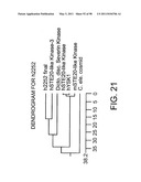 NOVEL KINASES AND USES THEREOF diagram and image