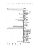 NOVEL KINASES AND USES THEREOF diagram and image