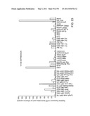 NOVEL KINASES AND USES THEREOF diagram and image