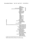 NOVEL KINASES AND USES THEREOF diagram and image