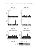 PRODUCTS AND PROCESSES FOR MODULATING PEPTIDE-PEPTIDE BINDING DOMAIN INTERACTIONS diagram and image