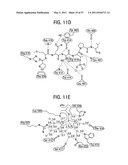 PRODUCTS AND PROCESSES FOR MODULATING PEPTIDE-PEPTIDE BINDING DOMAIN INTERACTIONS diagram and image