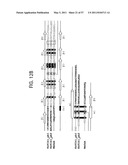 PRODUCTS AND PROCESSES FOR MODULATING PEPTIDE-PEPTIDE BINDING DOMAIN INTERACTIONS diagram and image