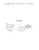 PRODUCTS AND PROCESSES FOR MODULATING PEPTIDE-PEPTIDE BINDING DOMAIN INTERACTIONS diagram and image