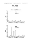 PRODUCTS AND PROCESSES FOR MODULATING PEPTIDE-PEPTIDE BINDING DOMAIN INTERACTIONS diagram and image