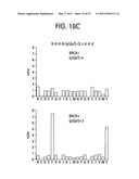 PRODUCTS AND PROCESSES FOR MODULATING PEPTIDE-PEPTIDE BINDING DOMAIN INTERACTIONS diagram and image