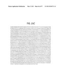 PRODUCTS AND PROCESSES FOR MODULATING PEPTIDE-PEPTIDE BINDING DOMAIN INTERACTIONS diagram and image