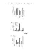 CYTOTOXIC PEPTIDES AND PEPTIDOMIMETICS BASED THEREON, AND METHODS FOR USE THEREOF diagram and image