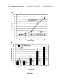 CYTOTOXIC PEPTIDES AND PEPTIDOMIMETICS BASED THEREON, AND METHODS FOR USE THEREOF diagram and image