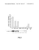 ASSAYS FOR DIAGNOSING AND EVALUATING TREATMENT OPTIONS FOR FABRY DISEASE diagram and image