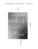 Dynamic Light Scattering for in vitro Testing of Bodily Fluids diagram and image