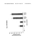 METHOD OF EXPRESSING RECOMBINANT PROTEIN IN CHO CELLS diagram and image