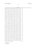 METHOD OF EXPRESSING RECOMBINANT PROTEIN IN CHO CELLS diagram and image