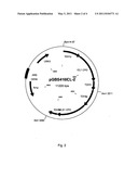 PROCESS FOR THE PRODUCTION OF A DICARBOXYLIC ACID diagram and image