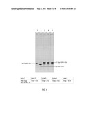 METHODS AND KITS FOR 3 -END-TAGGING OF RNA diagram and image