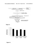 Modulation of Adenoviral Tropism diagram and image