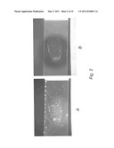 CONJUGATED NANOPARTICLES AND THEIR USE IN DETECTION OF LATENT FINGERPRINTS diagram and image