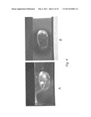 CONJUGATED NANOPARTICLES AND THEIR USE IN DETECTION OF LATENT FINGERPRINTS diagram and image