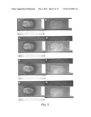CONJUGATED NANOPARTICLES AND THEIR USE IN DETECTION OF LATENT FINGERPRINTS diagram and image