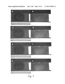 CONJUGATED NANOPARTICLES AND THEIR USE IN DETECTION OF LATENT FINGERPRINTS diagram and image