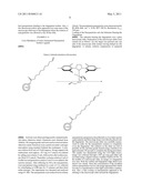 CONJUGATED NANOPARTICLES AND THEIR USE IN DETECTION OF LATENT FINGERPRINTS diagram and image