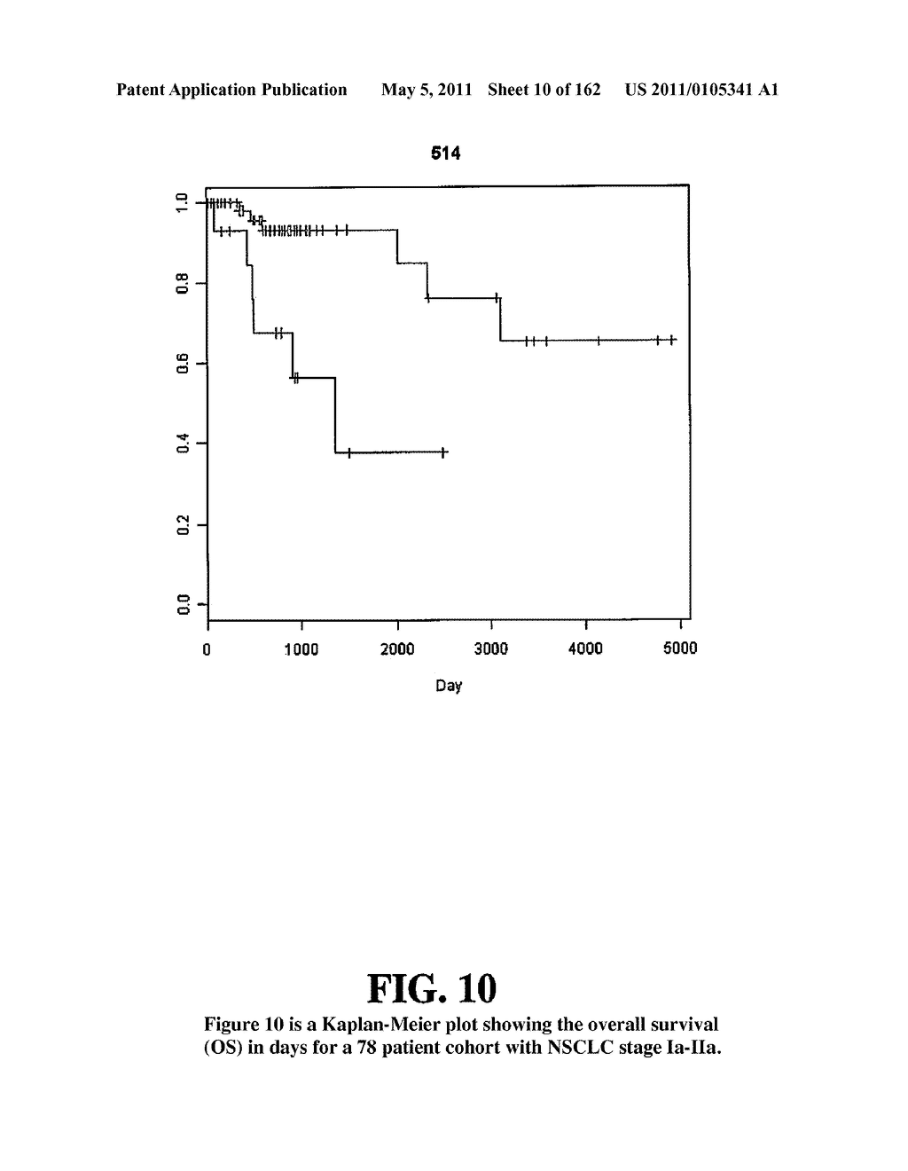 Diagnostic Methods For Determining Prognosis Of Non-Small Cell Lung Cancer - diagram, schematic, and image 11