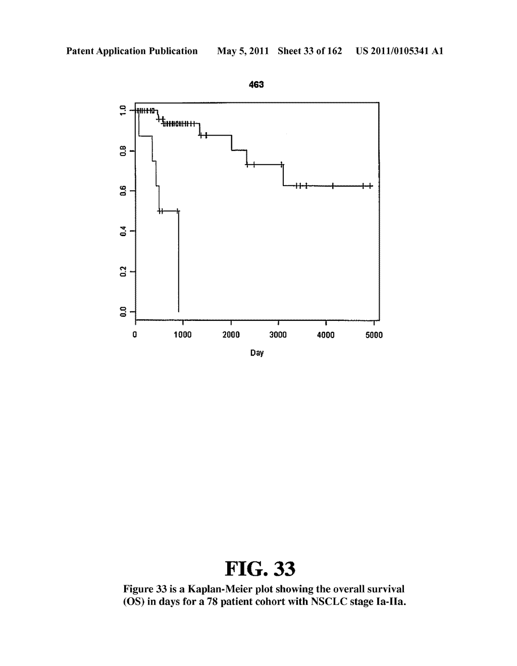 Diagnostic Methods For Determining Prognosis Of Non-Small Cell Lung Cancer - diagram, schematic, and image 34