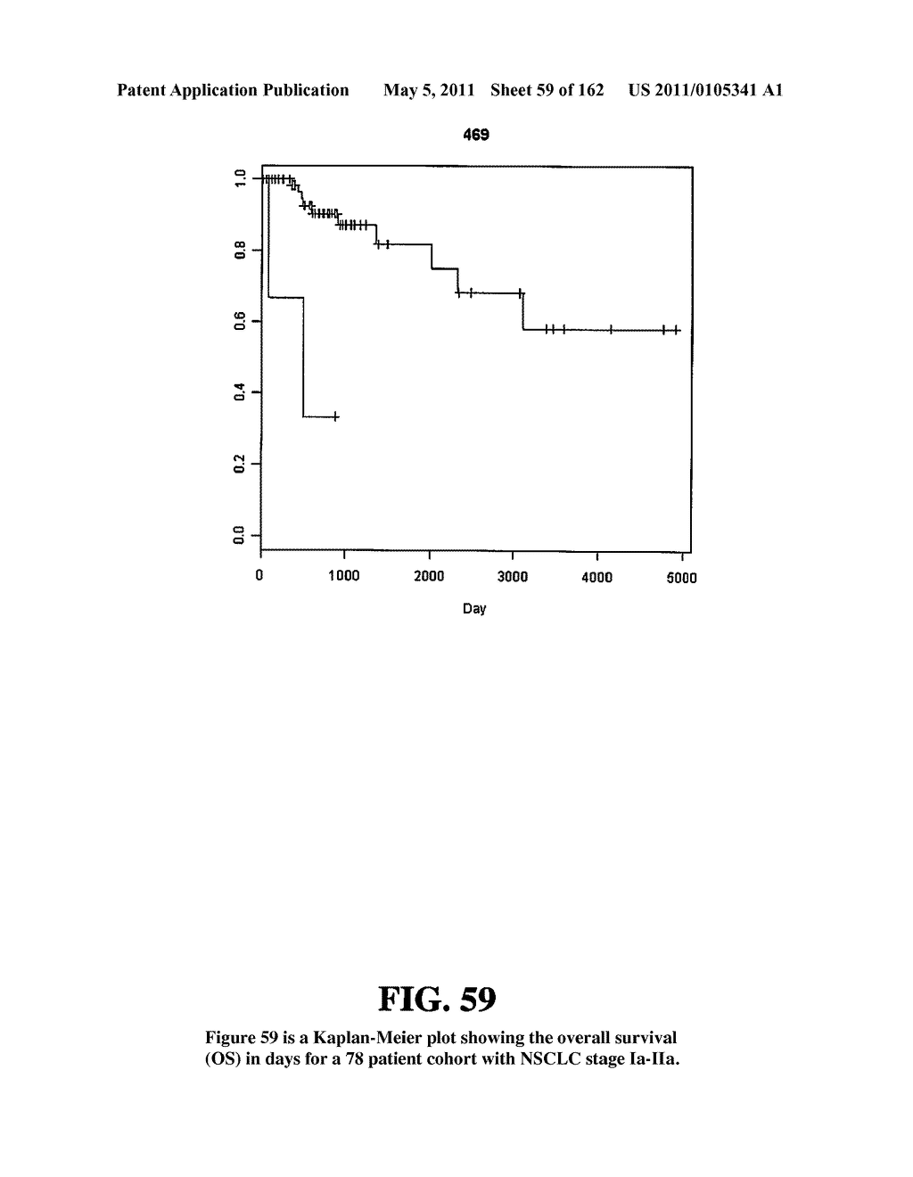 Diagnostic Methods For Determining Prognosis Of Non-Small Cell Lung Cancer - diagram, schematic, and image 60