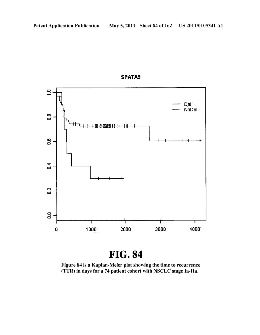 Diagnostic Methods For Determining Prognosis Of Non-Small Cell Lung Cancer - diagram, schematic, and image 85