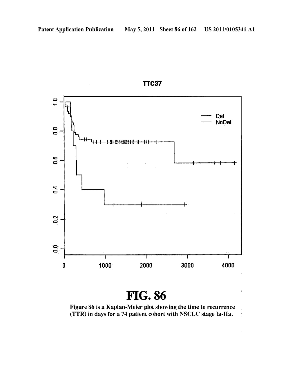 Diagnostic Methods For Determining Prognosis Of Non-Small Cell Lung Cancer - diagram, schematic, and image 87