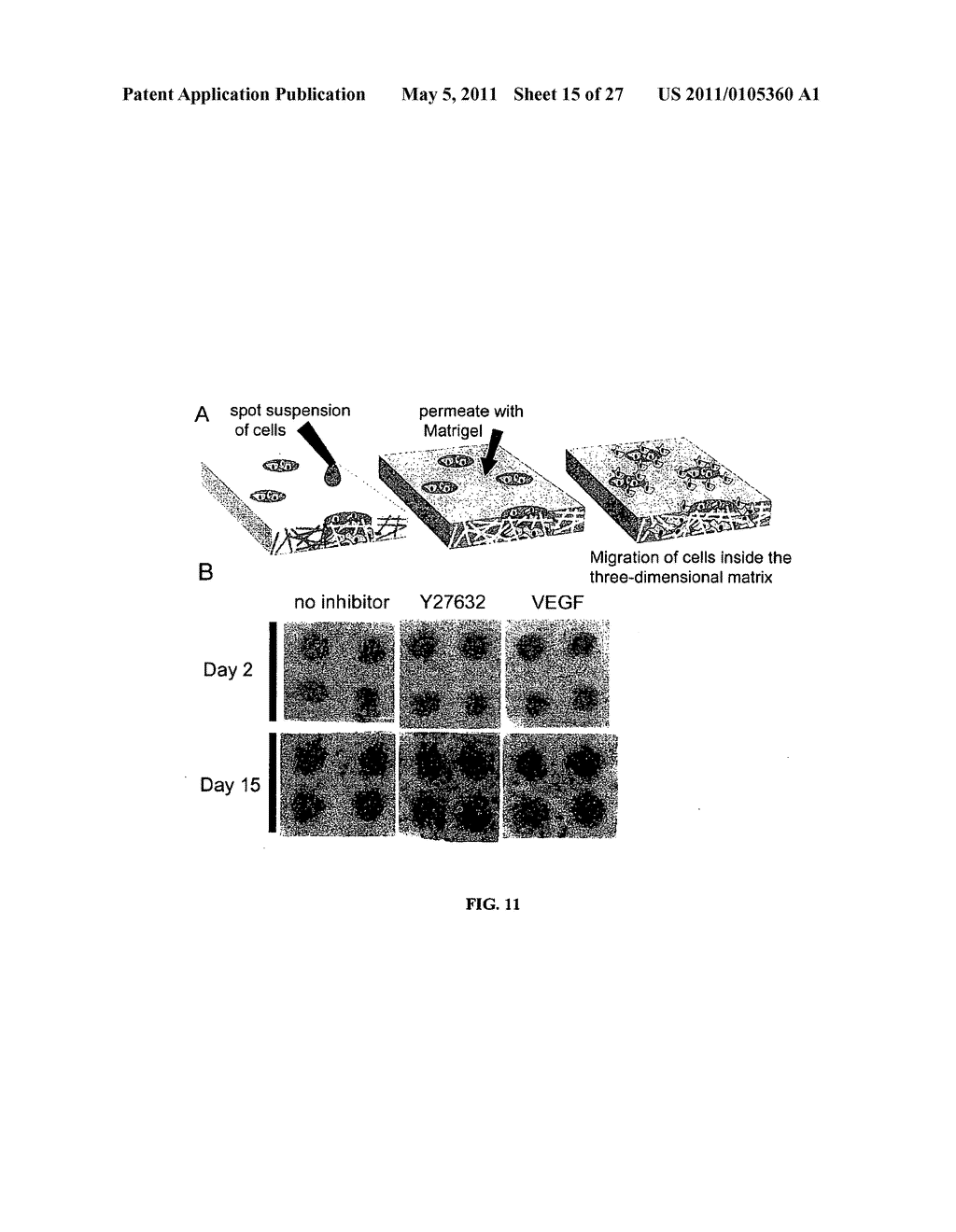 PAPER-BASED CELLULAR ARRAYS - diagram, schematic, and image 16