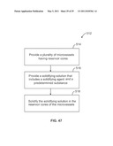 MICROVESSELS, MICROPARTICLES, AND METHODS OF MANUFACTURING AND USING THE SAME diagram and image