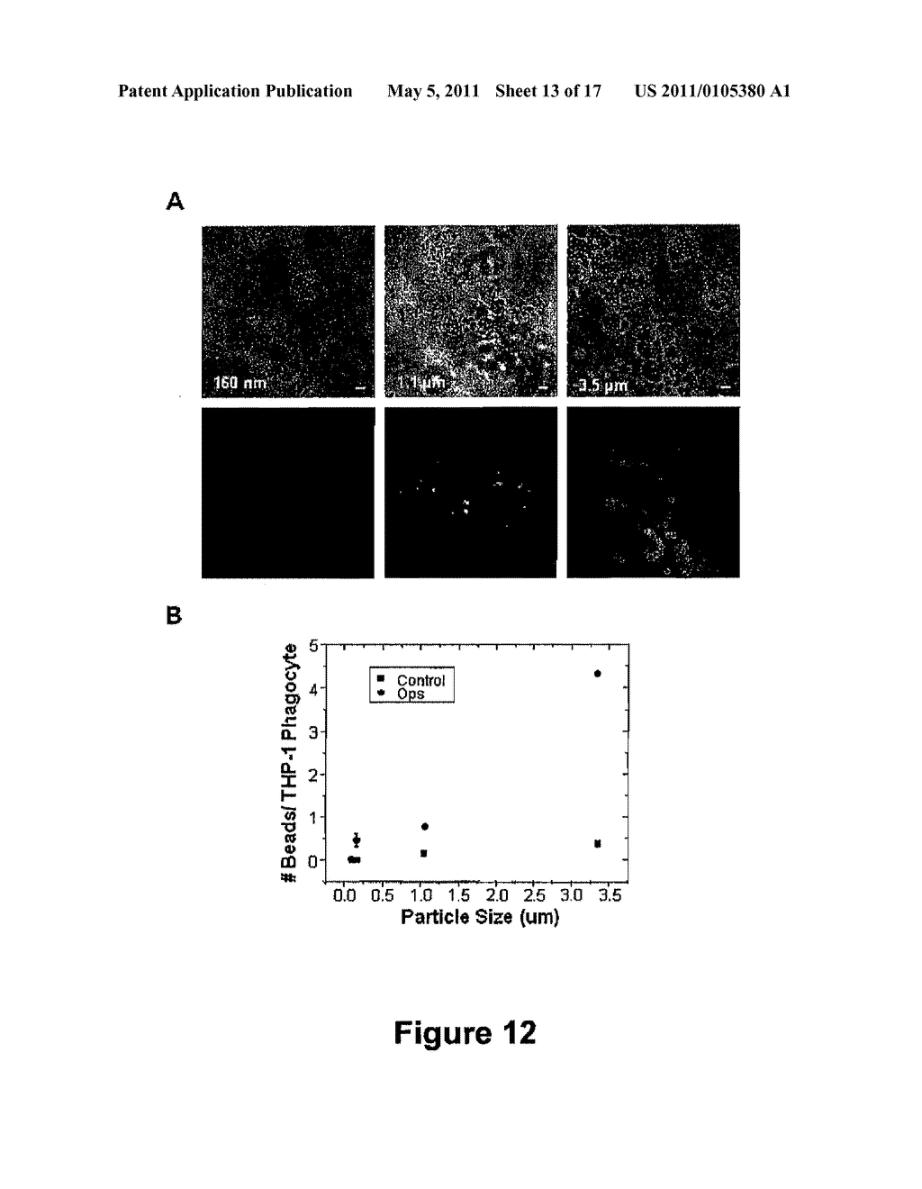 Protection of Nano-Scale Particles from Immune Cell Uptake - diagram, schematic, and image 14