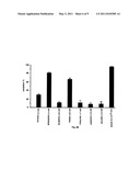 Antibacterial lactobacillus GG peptides and methods of use diagram and image