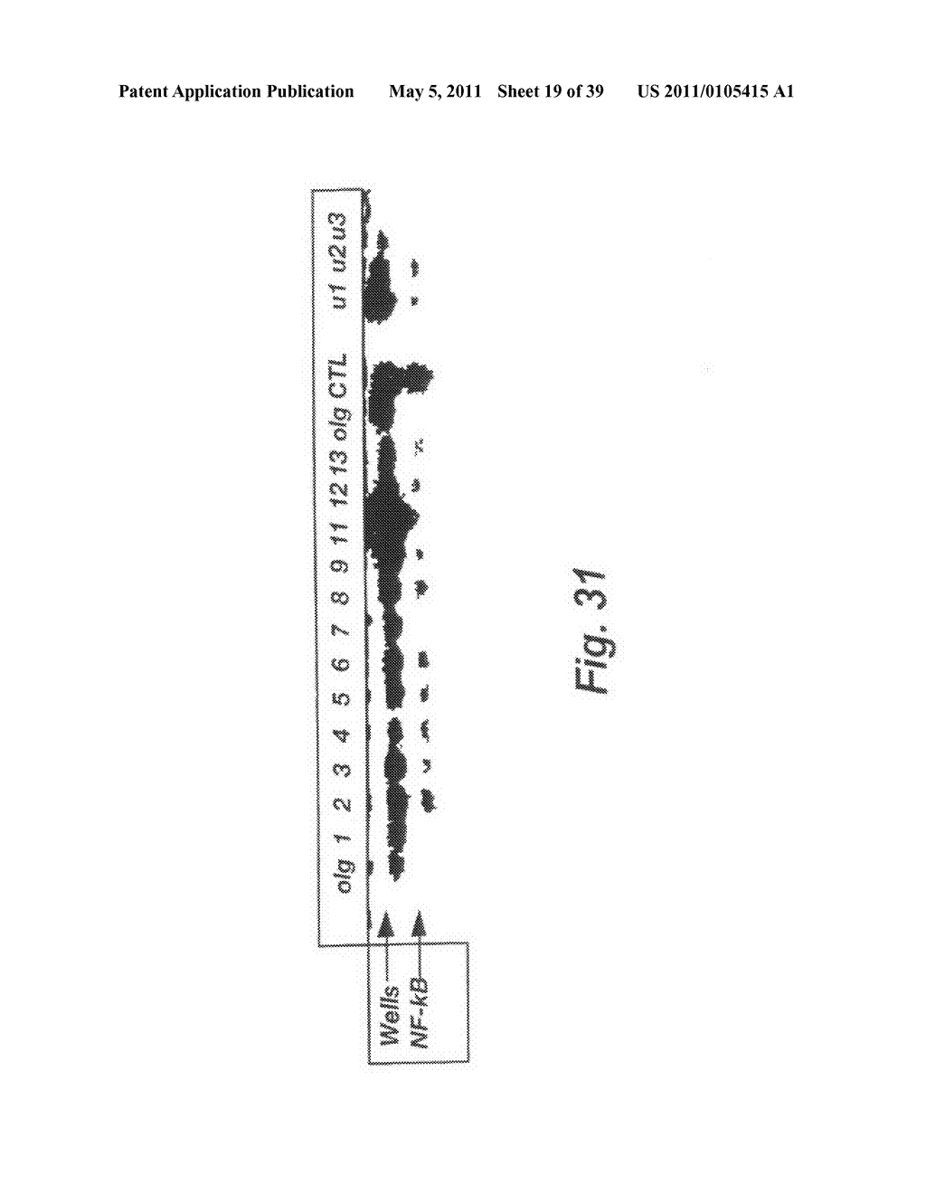 Gene regulator - diagram, schematic, and image 20