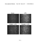 COMPOSITIONS AND METHODS FOR TREATING CORNEAL INFLAMMATION diagram and image