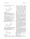 TRIAZOLE COMPOUNDS THAT MODULATE HSP90 ACTIVITY diagram and image