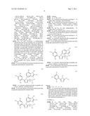 TRIAZOLE COMPOUNDS THAT MODULATE HSP90 ACTIVITY diagram and image