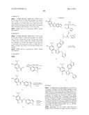 TRIAZOLE COMPOUNDS THAT MODULATE HSP90 ACTIVITY diagram and image