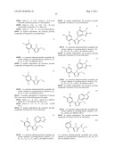 TRIAZOLE COMPOUNDS THAT MODULATE HSP90 ACTIVITY diagram and image