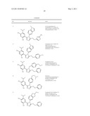 TRIAZOLE COMPOUNDS THAT MODULATE HSP90 ACTIVITY diagram and image