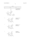 TRIAZOLE COMPOUNDS THAT MODULATE HSP90 ACTIVITY diagram and image