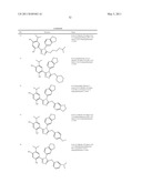 TRIAZOLE COMPOUNDS THAT MODULATE HSP90 ACTIVITY diagram and image