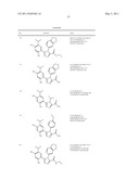 TRIAZOLE COMPOUNDS THAT MODULATE HSP90 ACTIVITY diagram and image