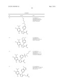 TRIAZOLE COMPOUNDS THAT MODULATE HSP90 ACTIVITY diagram and image