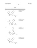 TRIAZOLE COMPOUNDS THAT MODULATE HSP90 ACTIVITY diagram and image